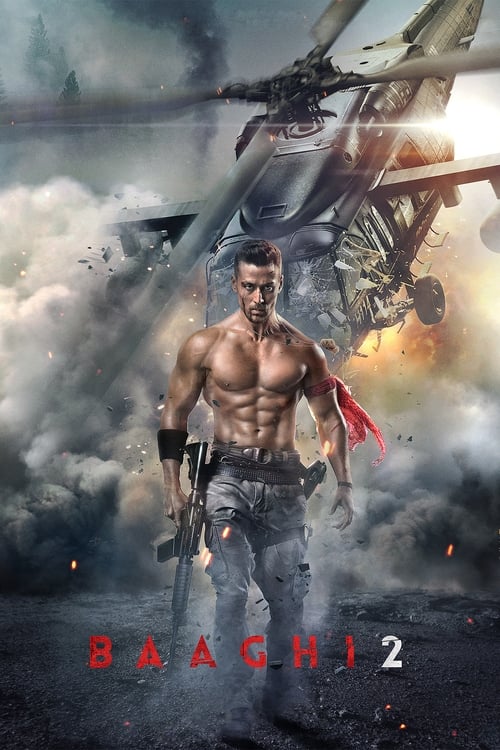 دانلود فیلم Baaghi 2